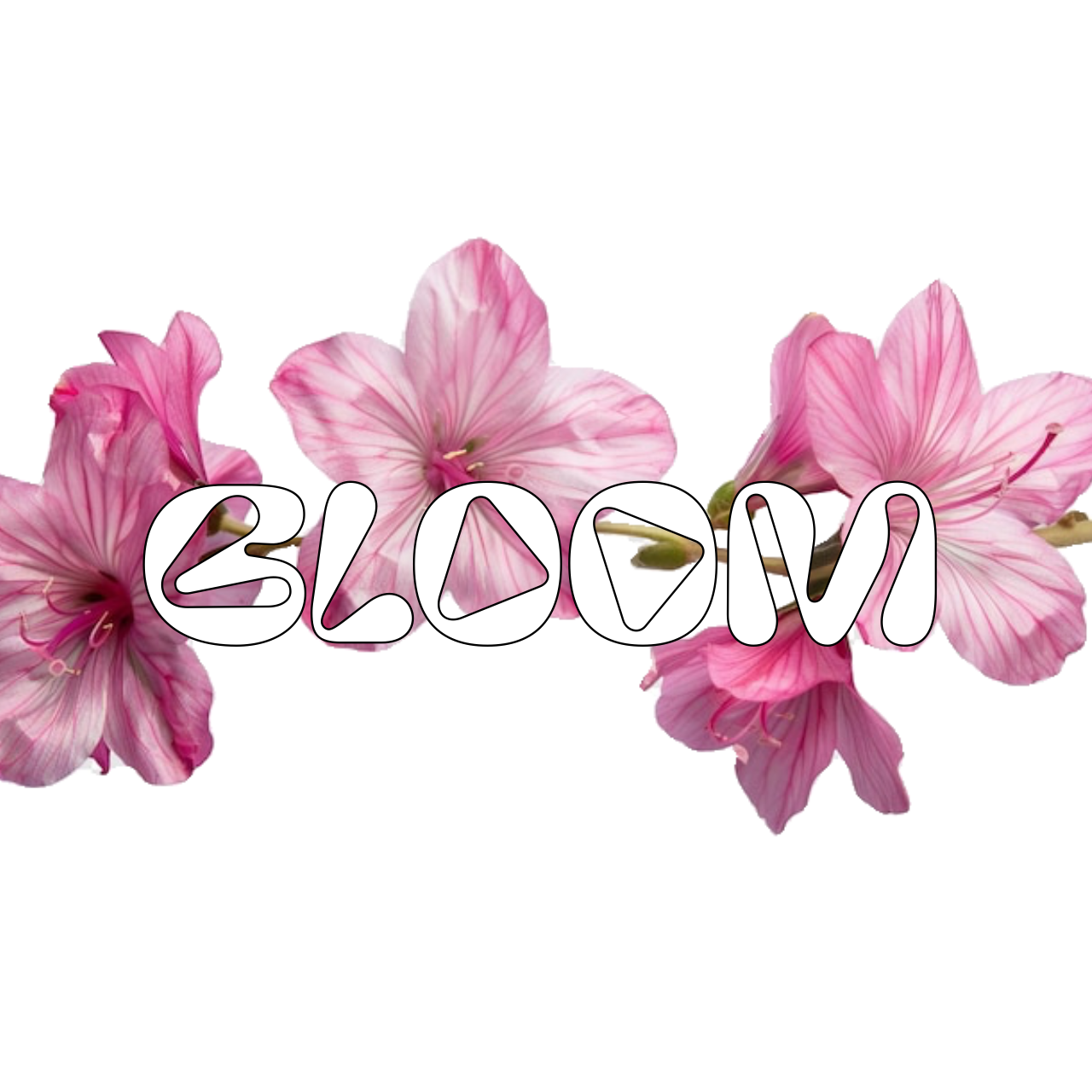 Bloom